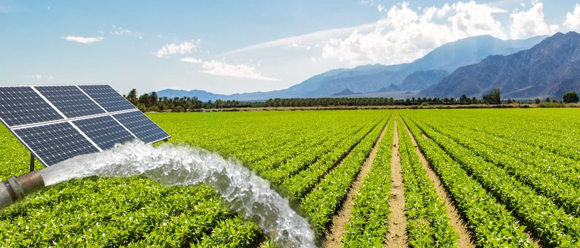 Agricultural Solar Solutions
